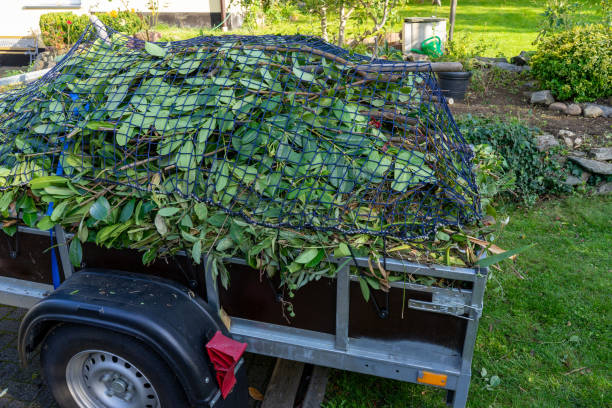 Basalt, CO Junk Removal Services Company